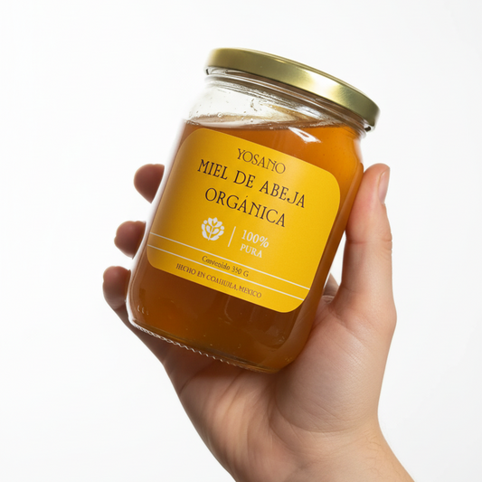 Miel de Abeja Extra Virgen 100% Pura Mexicana - Natural del Rancho