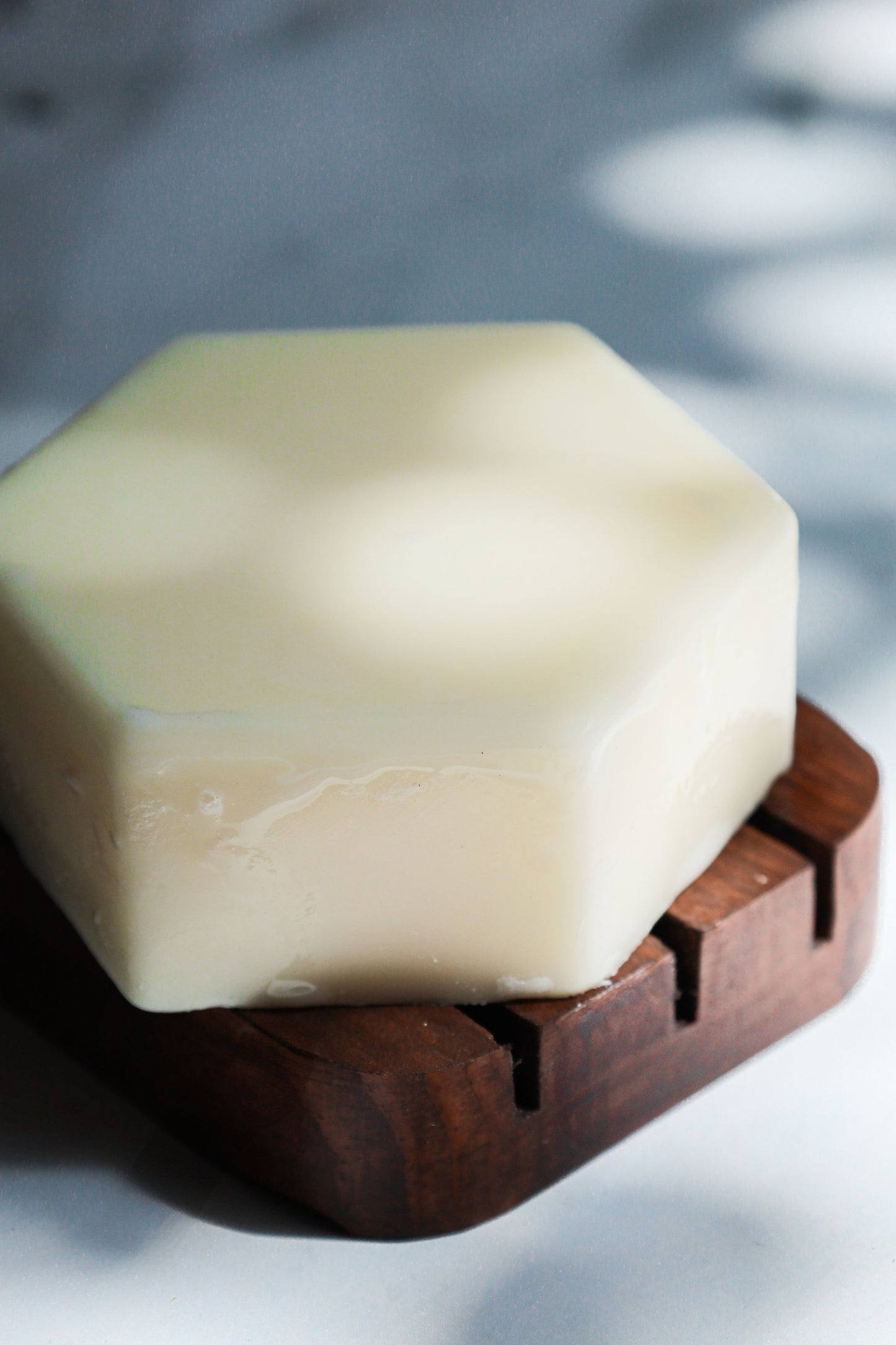 Pack Shampoo Sólido Romero-Lavanda & Acondicionador Romero 170g - Equilibrio Cabello