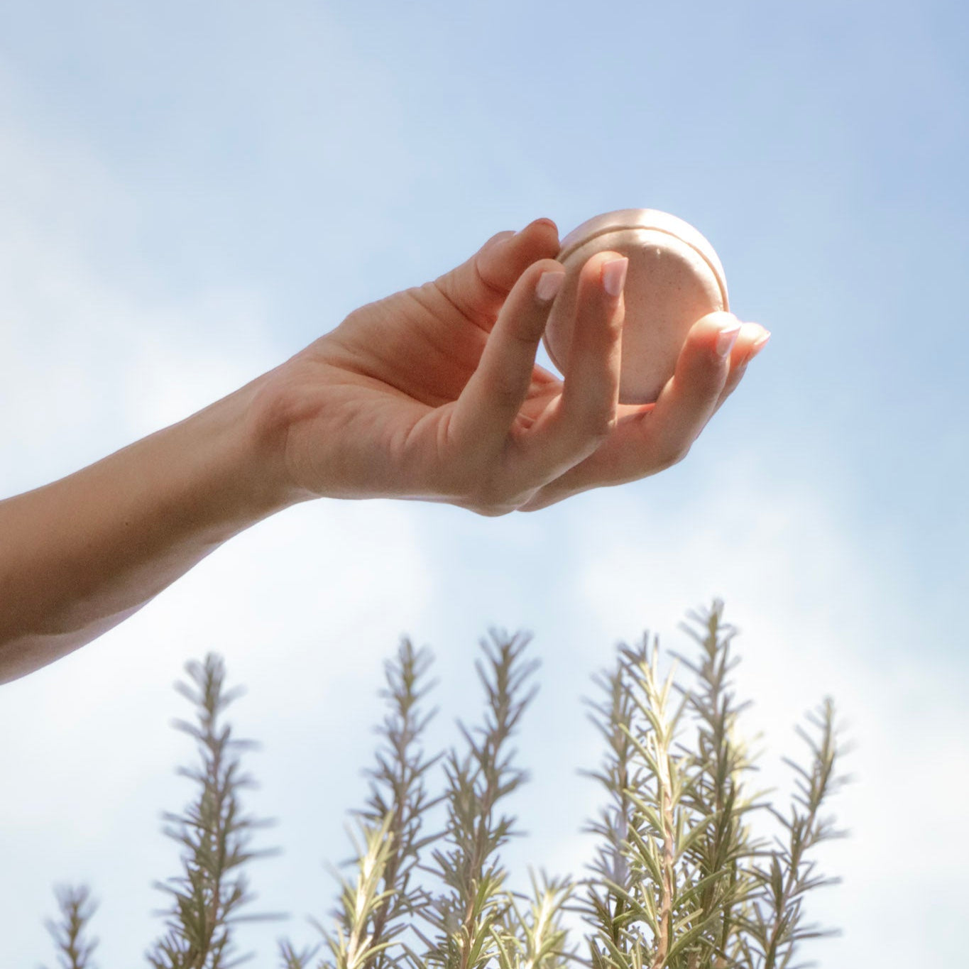 Shampoo Sólido Romero & Lavanda Orgánico 80g - Equilibrio Natural Cabello