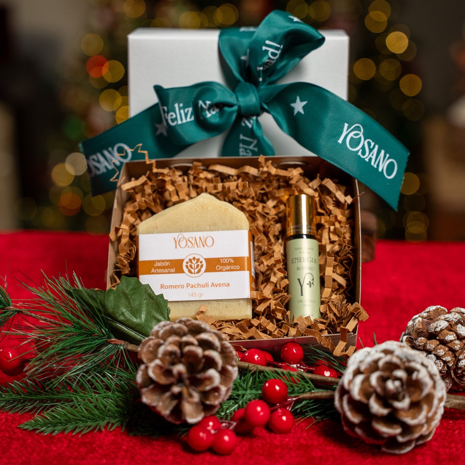 Kits Navideños | Edición limitada