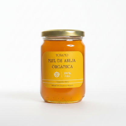 Miel de Abeja Extra Virgen 100% Pura Mexicana - Natural del Rancho