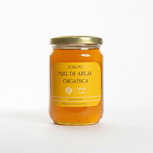 Miel de Abeja Extra Virgen 100% Pura Mexicana - Natural del Rancho